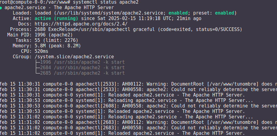 ../../_images/apache_ej_status.png